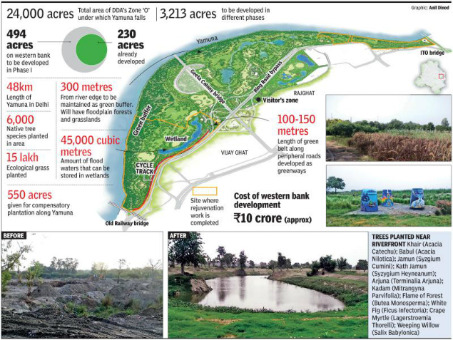 Delhi Yamuna Biodiversity Park