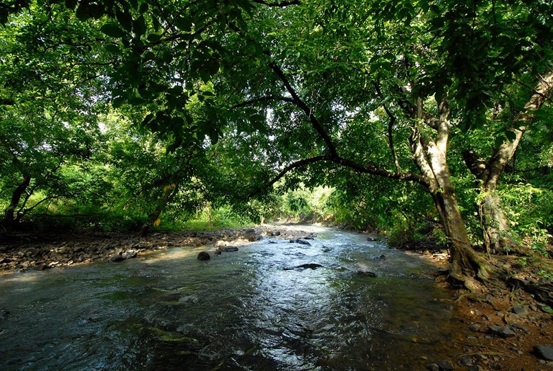 49947640_2206843362872126_6076435785244999680_o