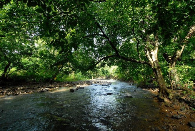 49947640_2206843362872126_6076435785244999680_o