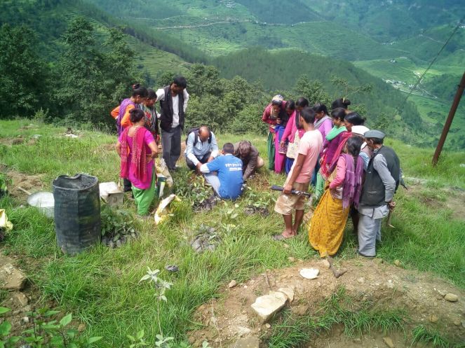 whatsapp image 2019-01-08 at 18.06.05