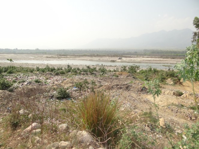 8 WD Vikas Nagar 10 4 19