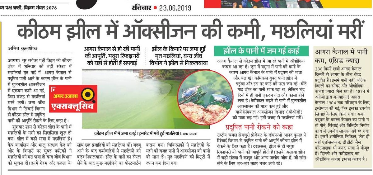 23 6 19 AU agra fish death