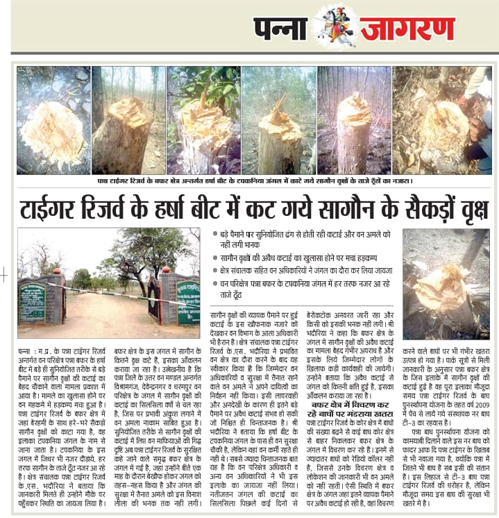 64342514_2669055473122109_4189739313052778496_n