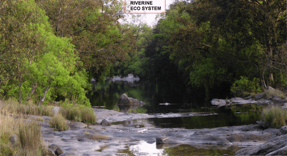 Ken Riverise Ecosystem that faces submergence under Ken Betwa Project - Source CEC Report