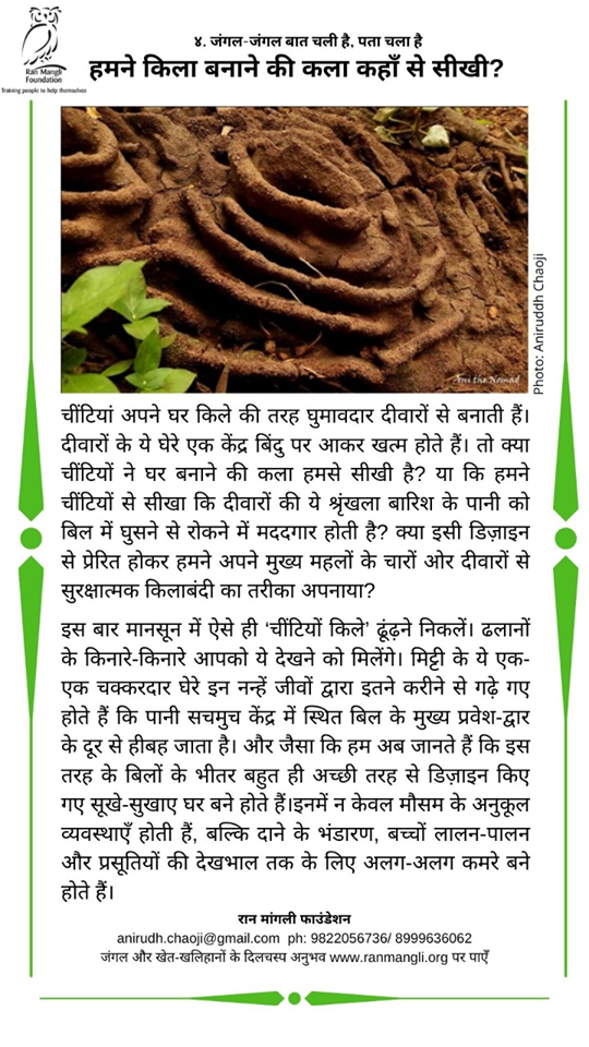 79803980_3060961767264809_7117572021420032000_o