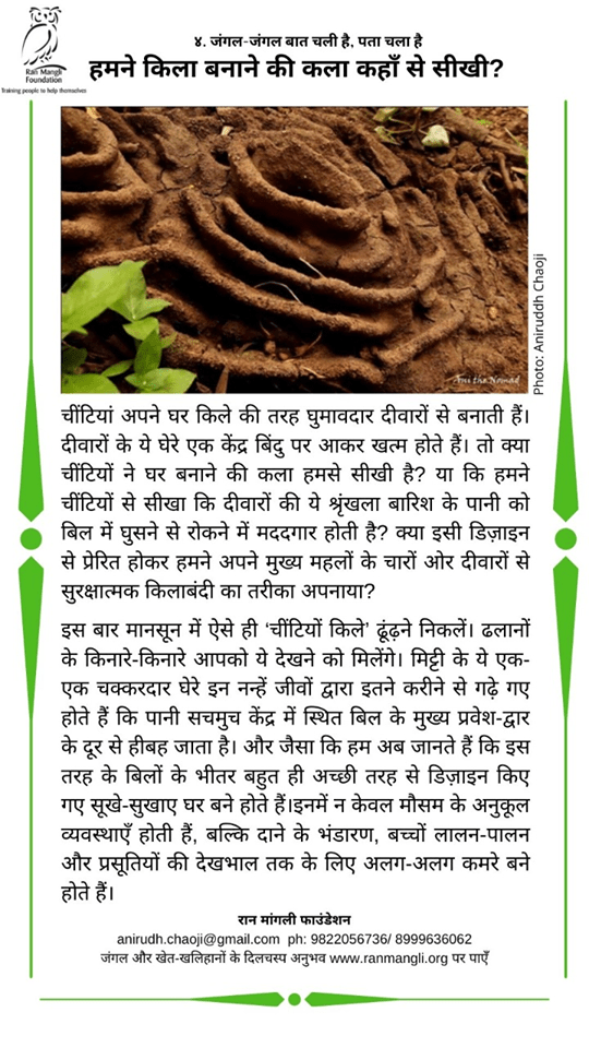 79803980_3060961767264809_7117572021420032000_o