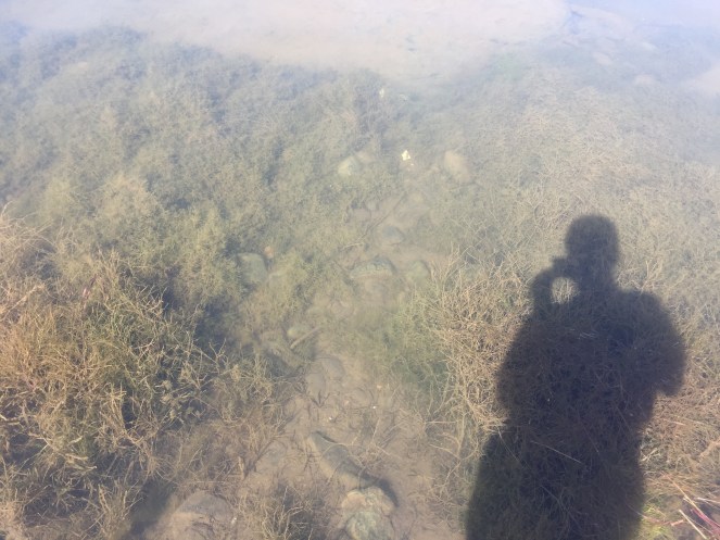 Clear water at Charkutiya Ghat