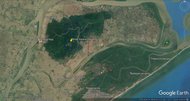 32 Bhitar Kanika Wetlands j