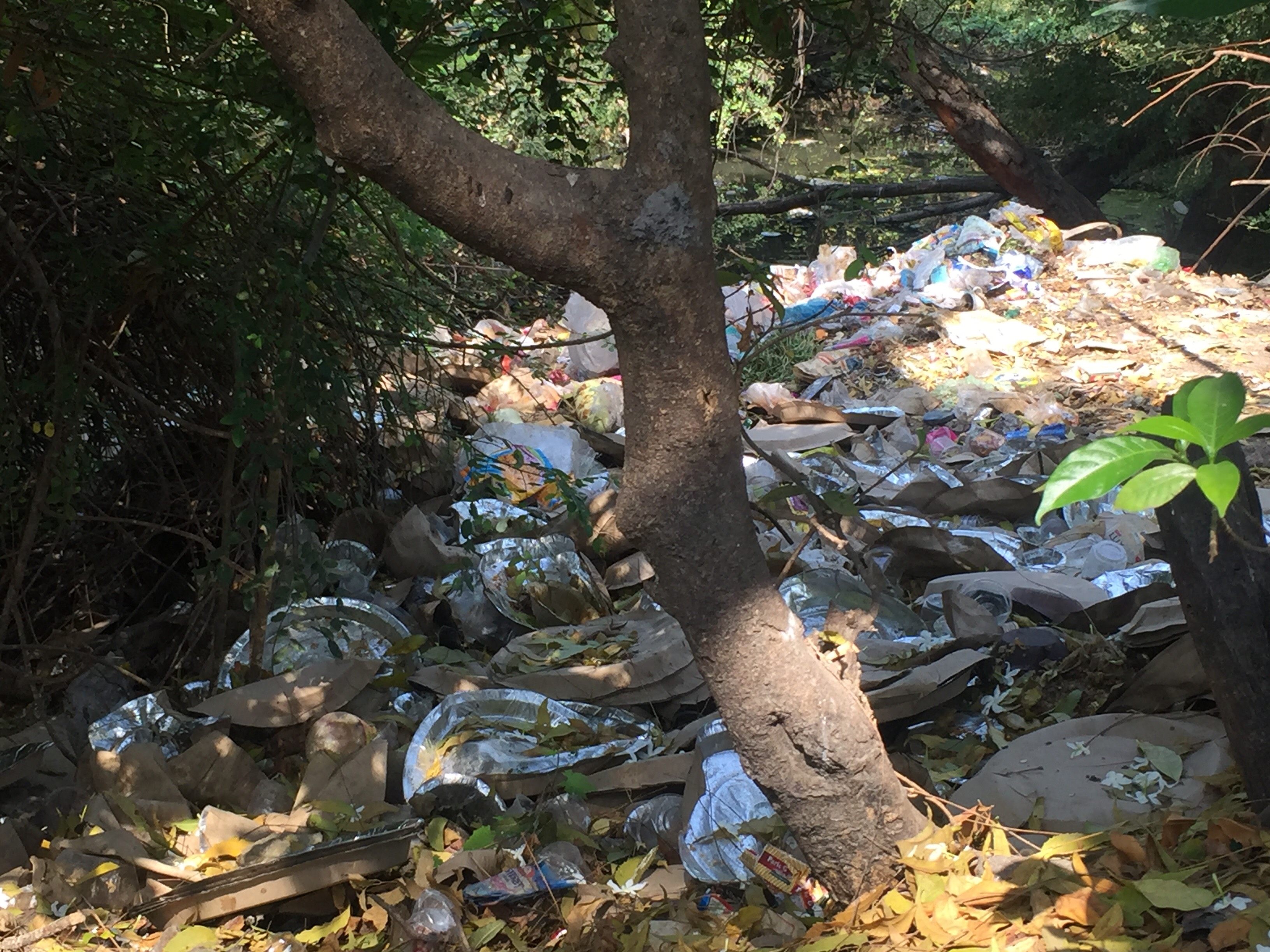 Narmda Parikarma 2019-20