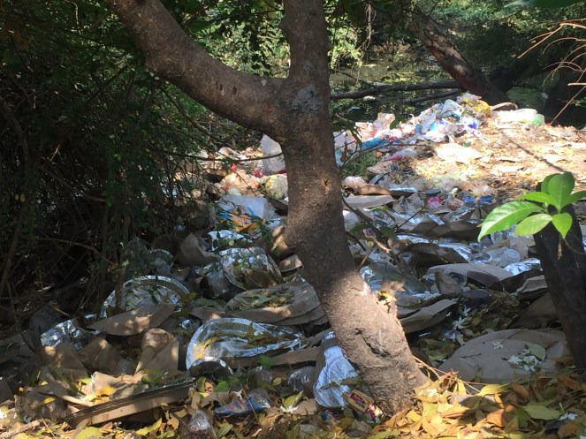 Narmda Parikarma 2019-20