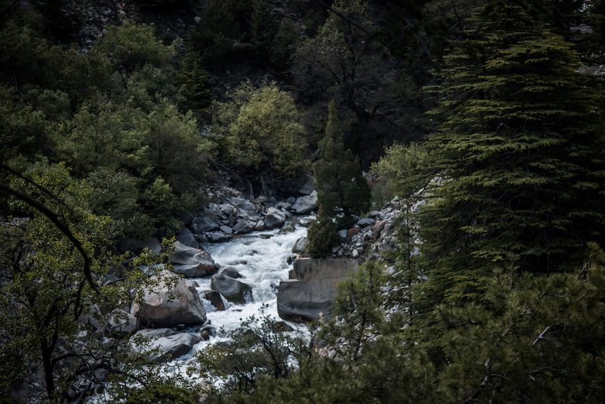 Kerang river at the proposed dam site flowing through the temperate forests of Lippa