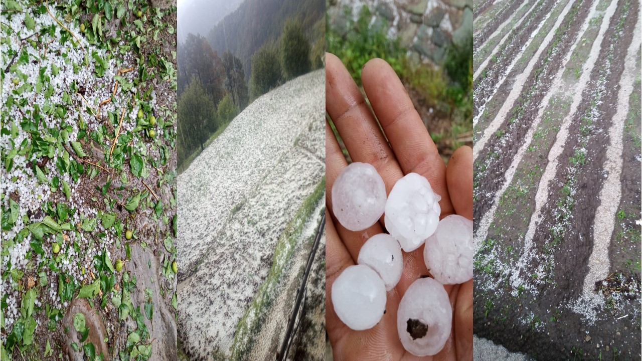Hailstorm Naugaon in Uttarkashi